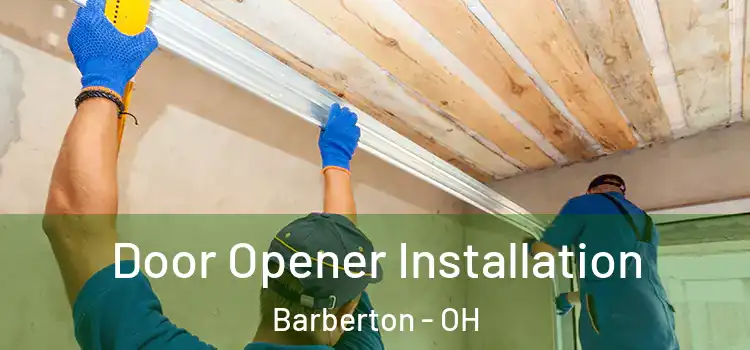  Door Opener Installation Barberton - OH
