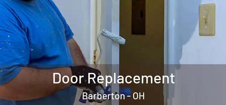 Door Replacement Barberton - OH