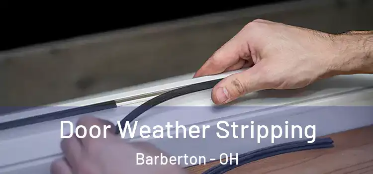  Door Weather Stripping Barberton - OH