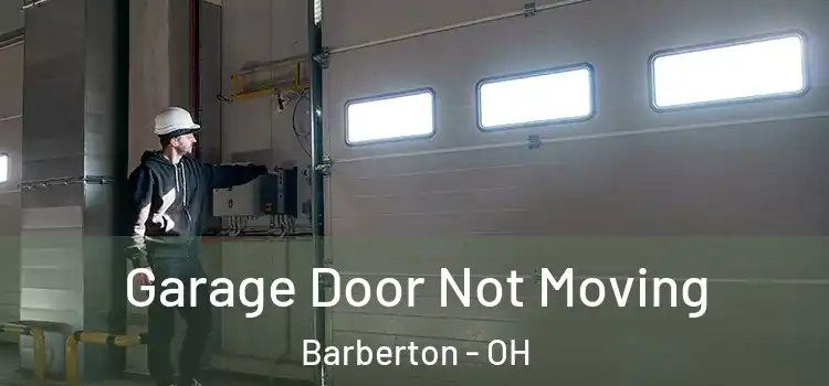  Garage Door Not Moving Barberton - OH
