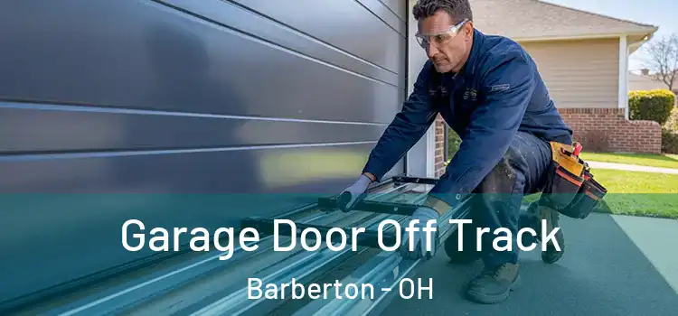  Garage Door Off Track Barberton - OH