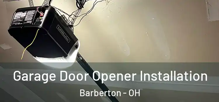  Garage Door Opener Installation Barberton - OH