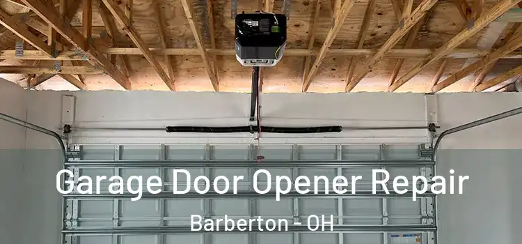  Garage Door Opener Repair Barberton - OH