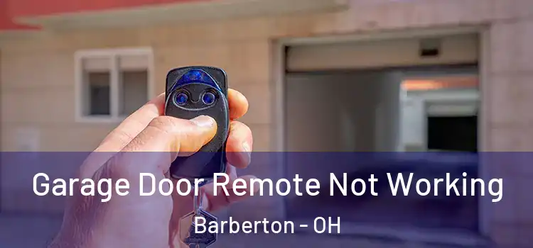  Garage Door Remote Not Working Barberton - OH