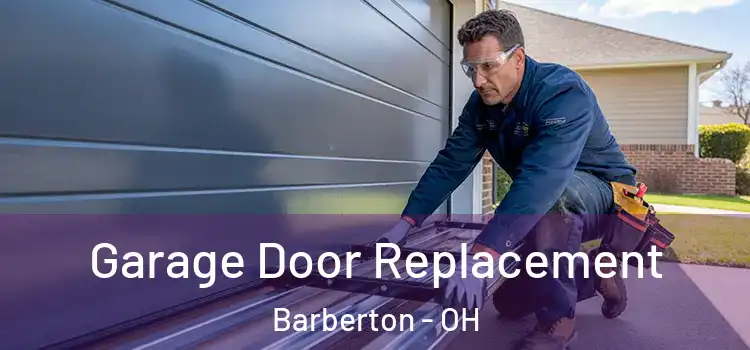  Garage Door Replacement Barberton - OH