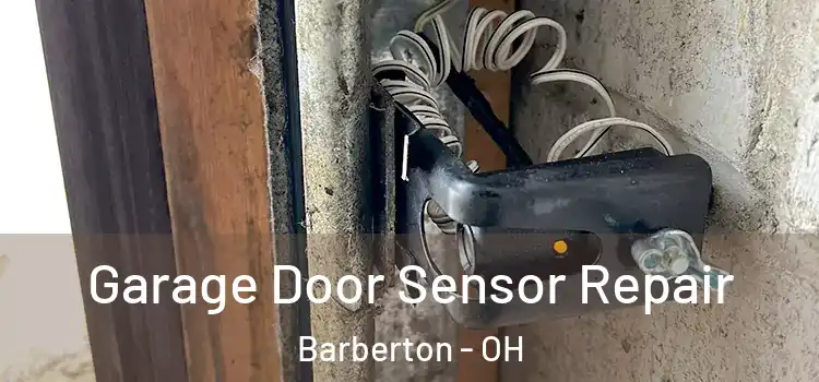  Garage Door Sensor Repair Barberton - OH