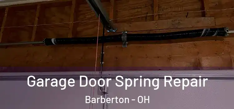  Garage Door Spring Repair Barberton - OH