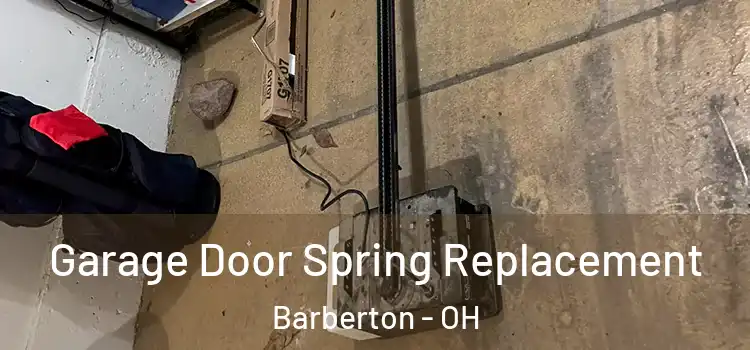  Garage Door Spring Replacement Barberton - OH