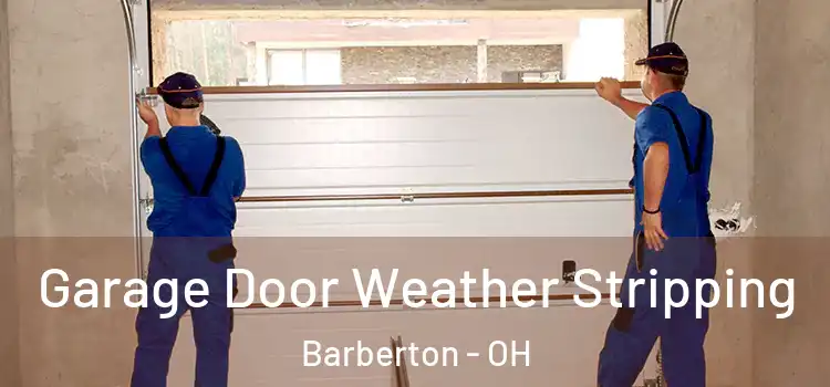  Garage Door Weather Stripping Barberton - OH