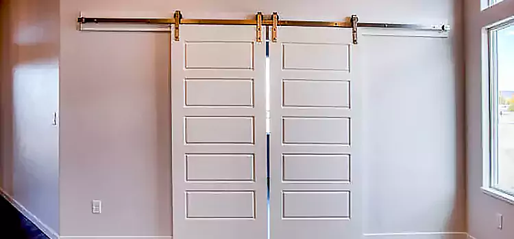 Glass Barn Door with Installation Hardware Kit Barberton