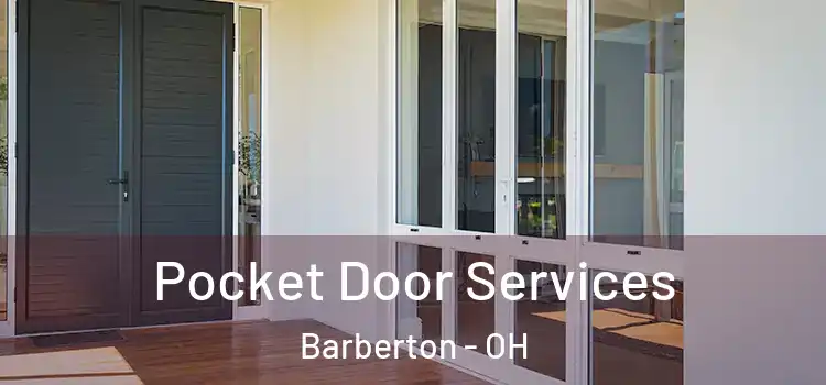  Pocket Door Services Barberton - OH