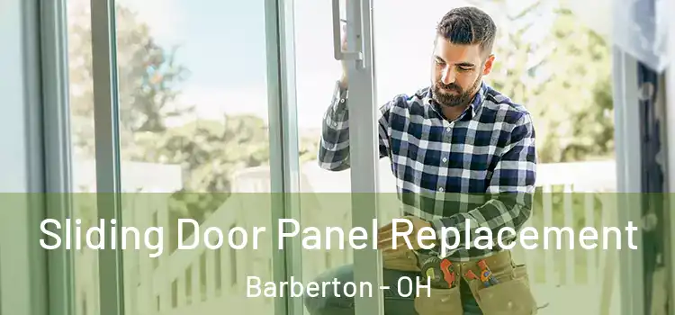  Sliding Door Panel Replacement Barberton - OH